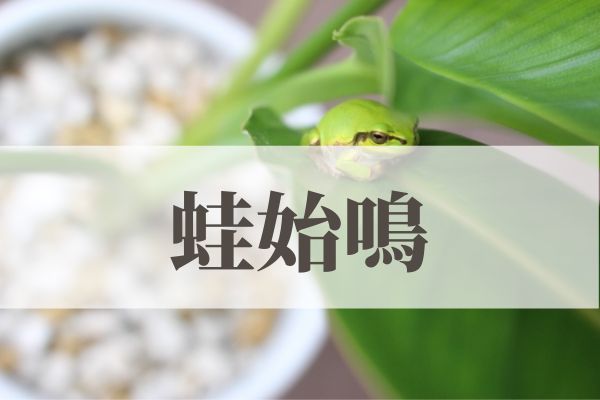 「蛙始鳴（かわずはじめてなく）」の意味や読み方！由来や時期はいつ？