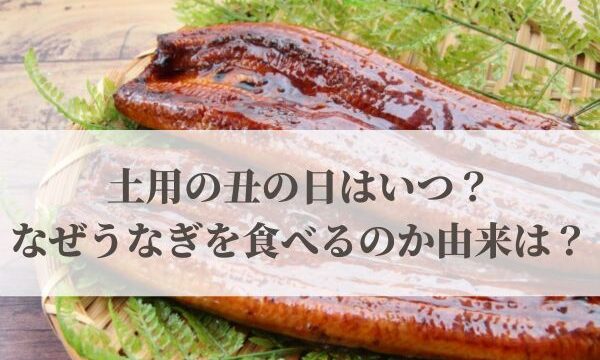 【2026年】土用の丑の日はいつ？なぜうなぎを食べるのか由来は？
