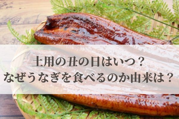 【2026年】土用の丑の日はいつ？なぜうなぎを食べるのか由来は？