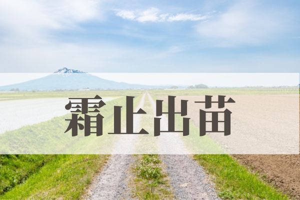 「霜止出苗（しもやみてなえいずる）」の意味や読み方！由来や時期はいつ？
