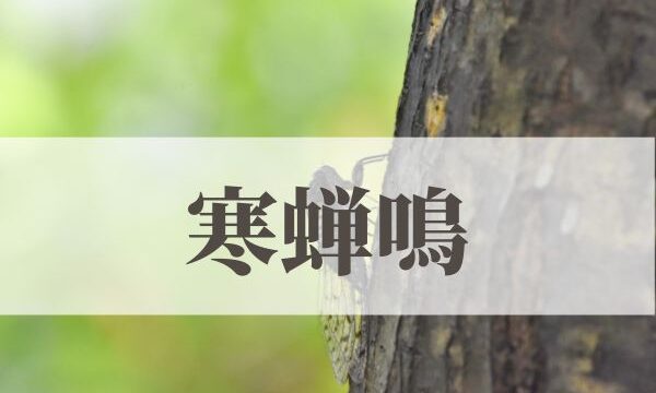 「寒蝉鳴（ひぐらしなく）」の意味や読み方とは？由来や時期はいつ？