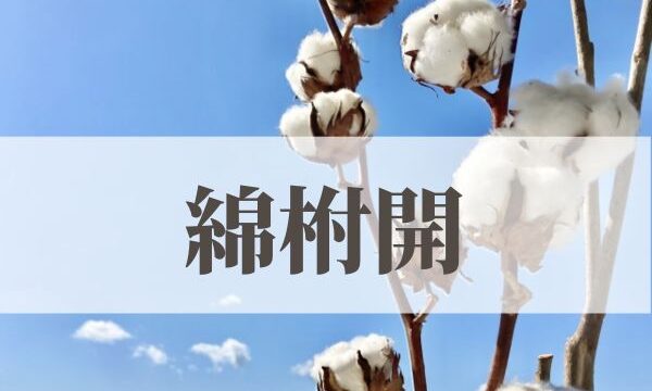 「綿柎開（わたのはなしべひらく）」の意味や読み方とは？由来や時期はいつ？