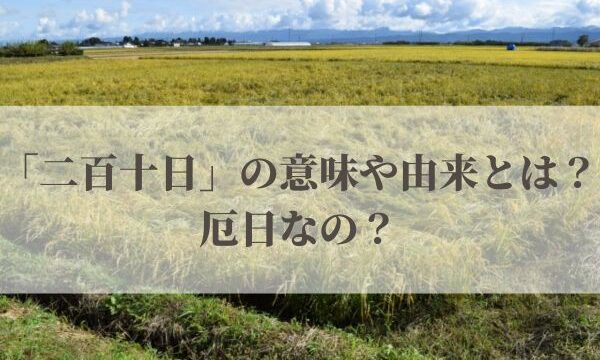 「二百十日」の意味や由来とは？2026年はいつ？厄日なの？