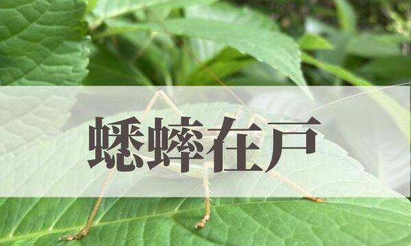 「蟋蟀在戸（きりぎりすとにあり）」の意味や読み方とは？由来や時期はいつ？