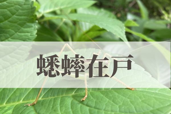 「蟋蟀在戸（きりぎりすとにあり）」の意味や読み方とは？由来や時期はいつ？