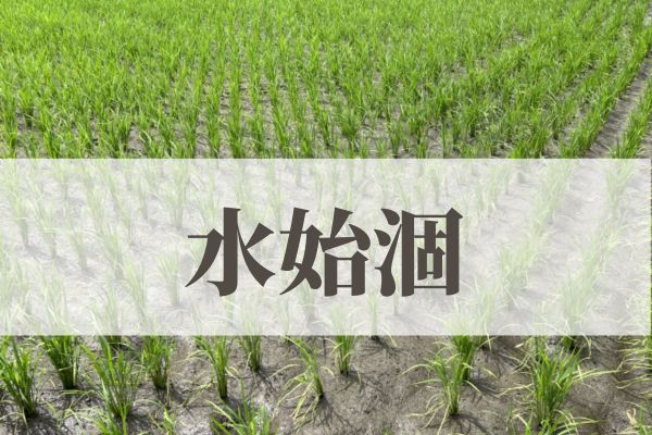 「水始涸」の意味や読み方とは？由来や時期はいつ？