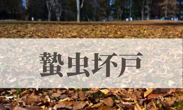 「蟄虫坏戸（むしかくれてとをふさぐ）」の意味や読み方とは？由来や時期はいつ？