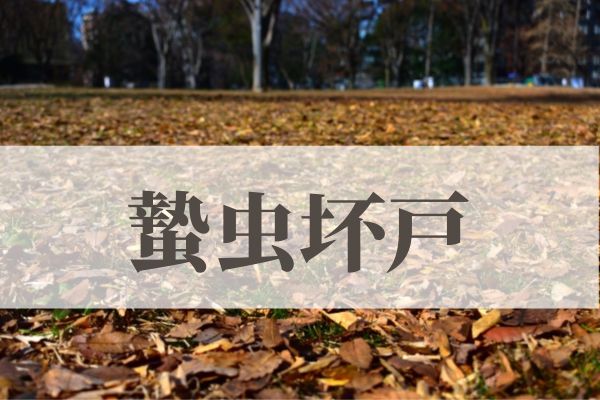 「蟄虫坏戸（むしかくれてとをふさぐ）」の意味や読み方とは？由来や時期はいつ？