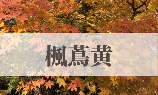 「楓蔦黄（もみじつたきばむ）」の意味や読み方とは？由来や時期はいつ？