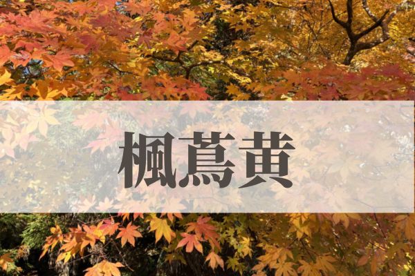 「楓蔦黄（もみじつたきばむ）」の意味や読み方とは？由来や時期はいつ？