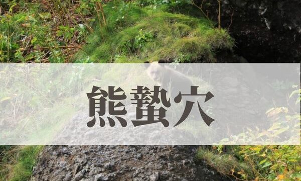 「熊蟄穴（くまあなにこもる）」の意味や読み方とは？由来や時期はいつ？