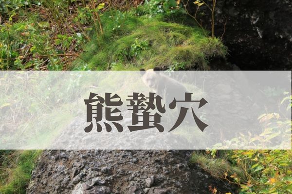 「熊蟄穴（くまあなにこもる）」の意味や読み方とは？由来や時期はいつ？