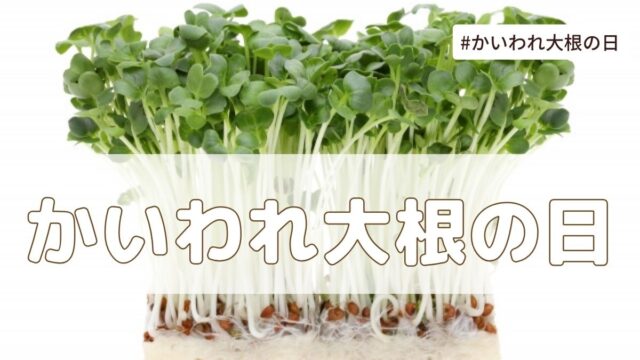 かいわれ大根の日（9月18日の記念日）とは？由来・意味・雑学まとめ【今日は何の日】