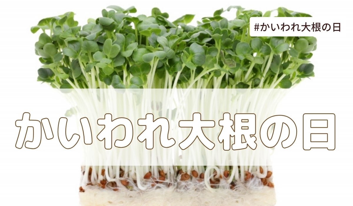 かいわれ大根の日（9月18日の記念日）とは？由来・意味・雑学まとめ【今日は何の日】