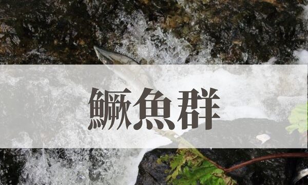「鱖魚群（さけのうおむらがる）」の意味や読み方とは？由来や時期はいつ？
